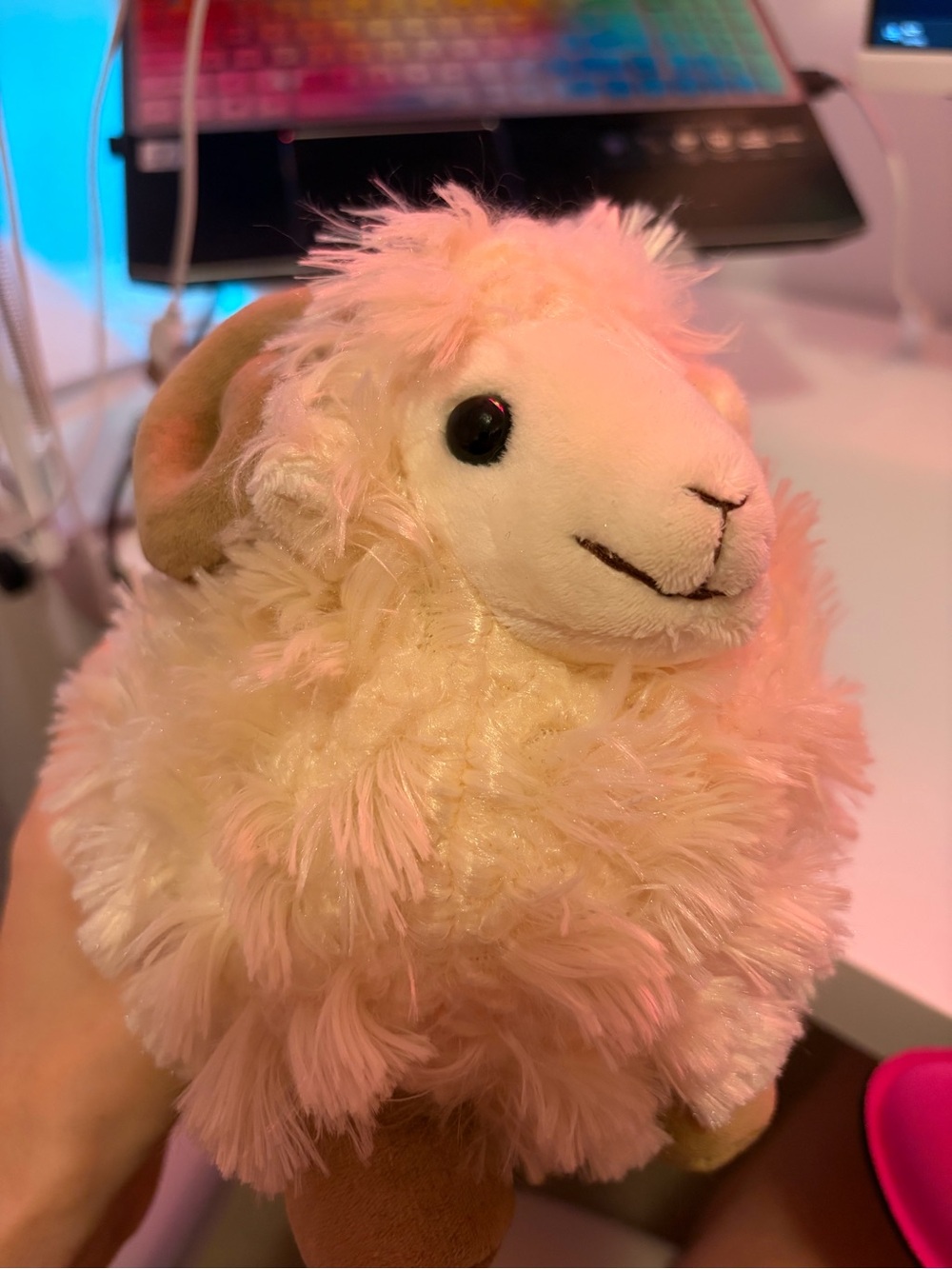 NWOT Cute Plush Cream Sheep Ram Stuffed Toy